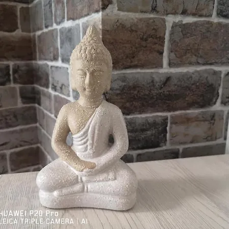 Seagarden 19 וארנה